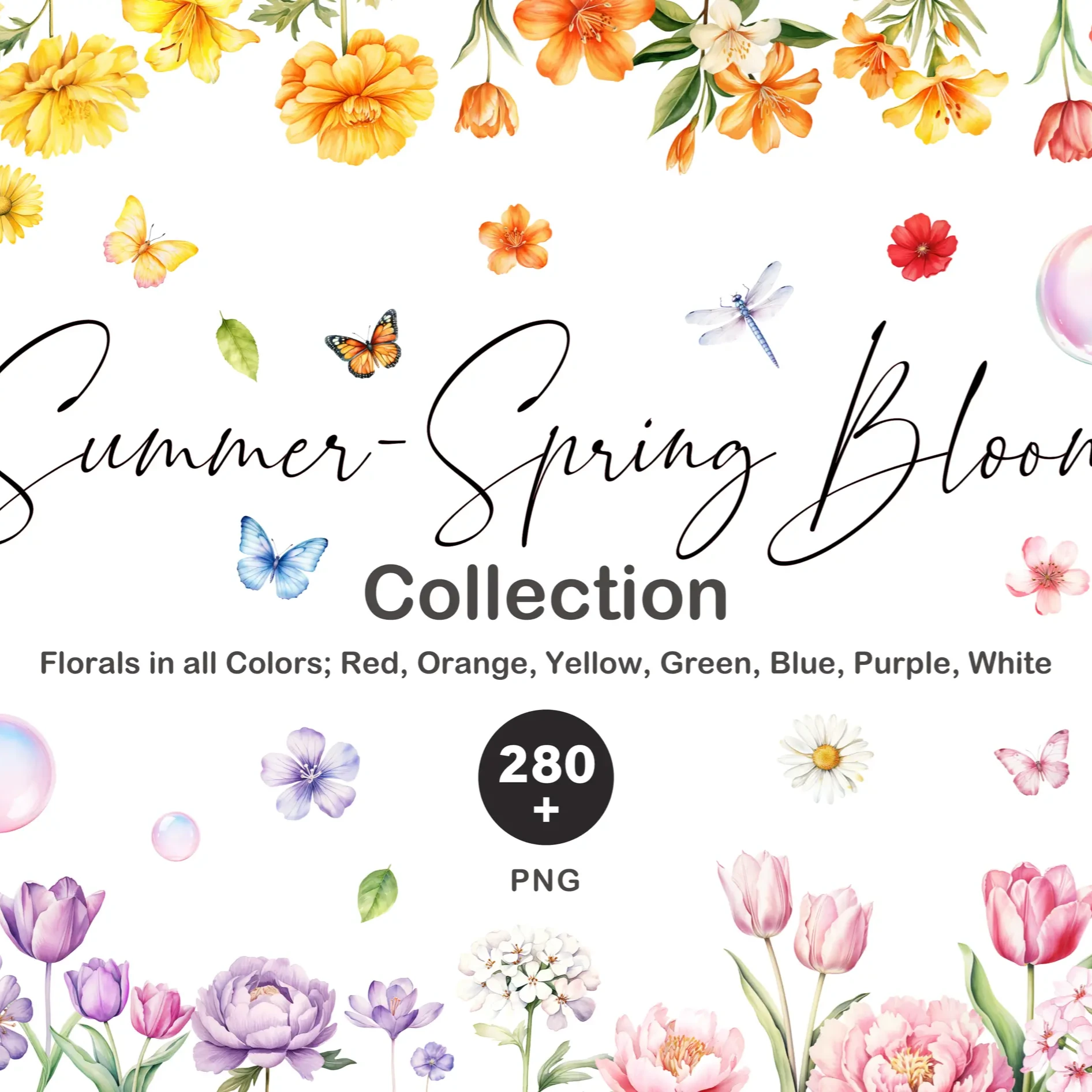 Spring Summer - Bundle