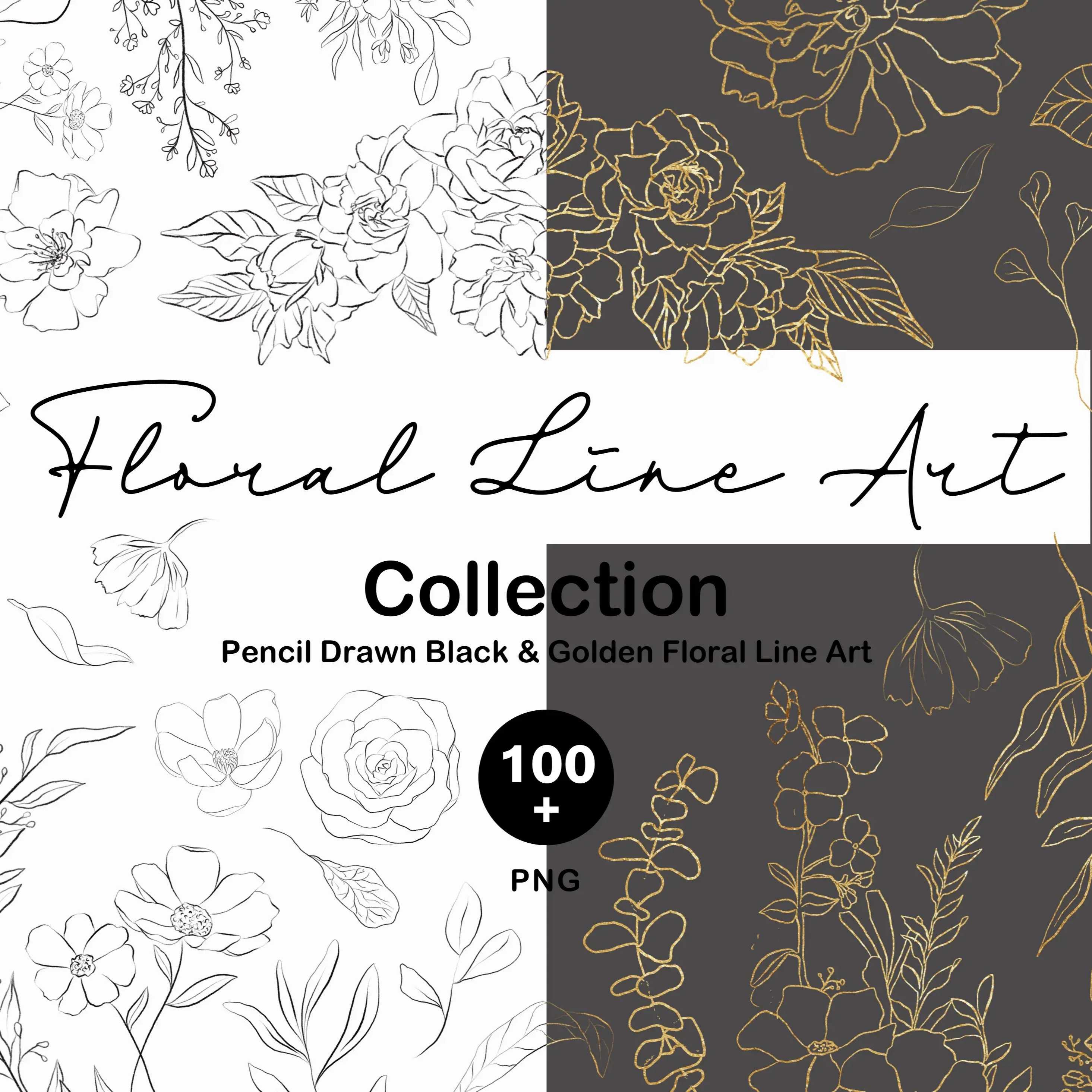 Floral Line Art - Bundle
