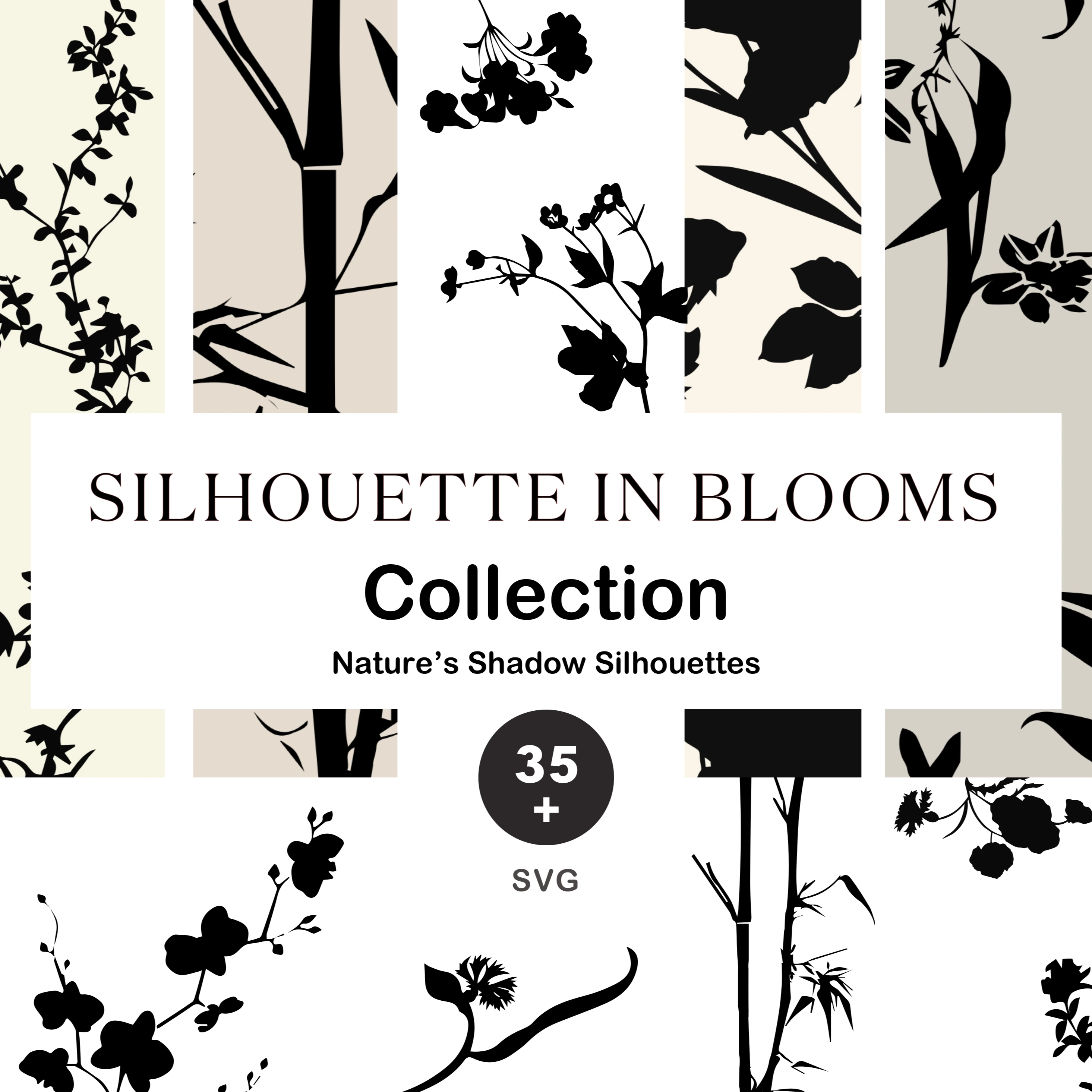 Silhouette In Blooms 2024 Bundle