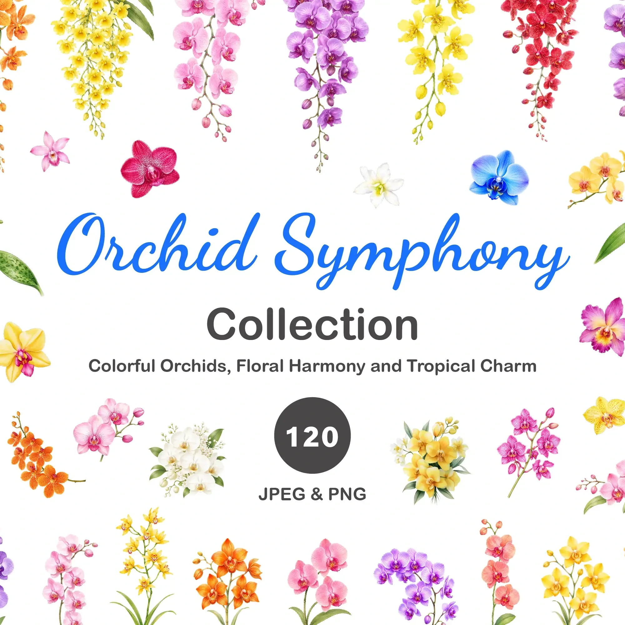Orchid Symphony Graphic Bundle